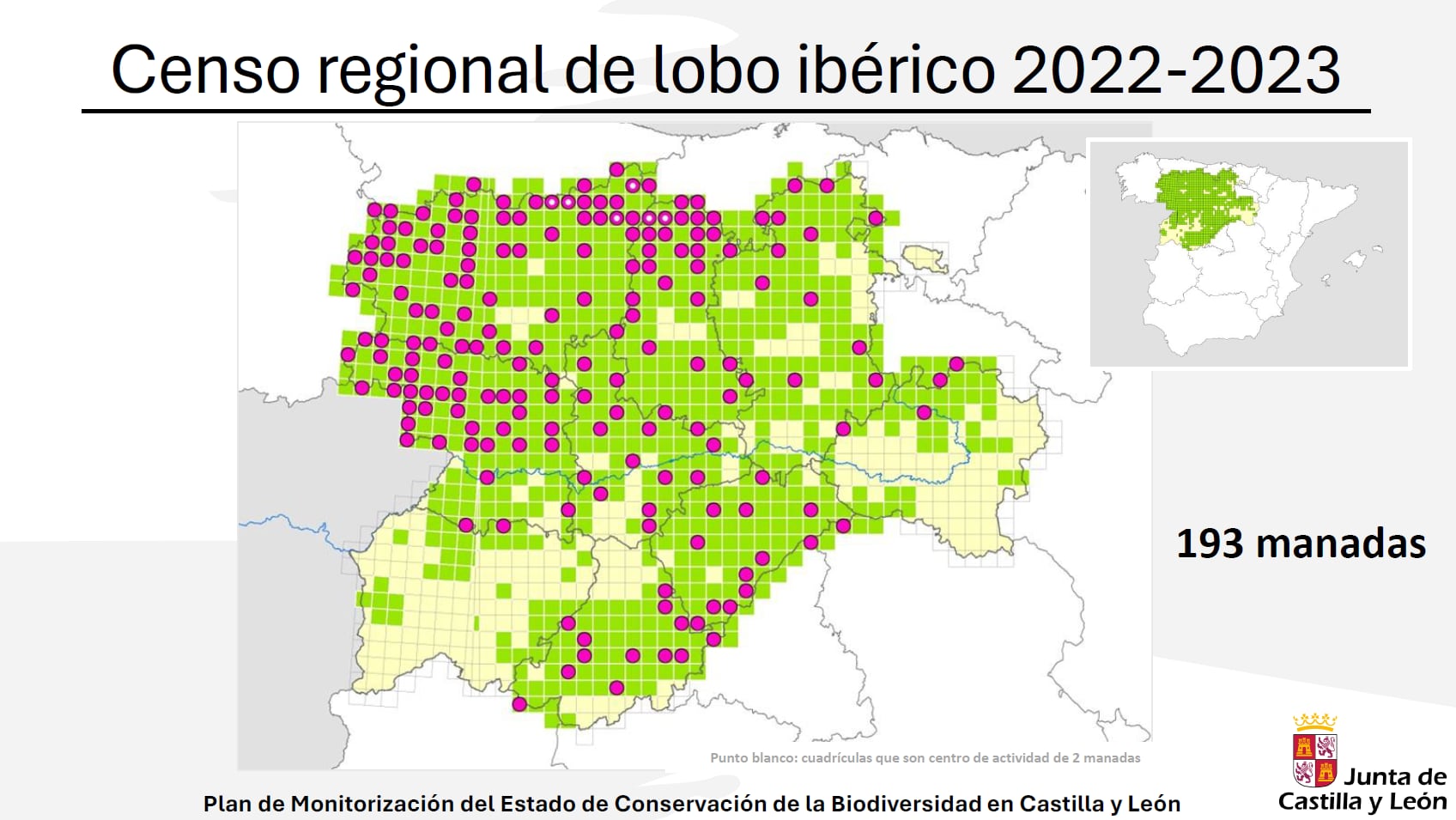 El lobo en Castilla y León: aumenta el número de manadas y se expande hacia la Ibérica y el sur del Duero | Fuente: Junta de Castilla y León