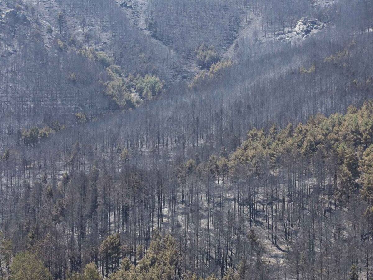 Hoy por Hoy Ávila Especial Incendio de Navalacruz