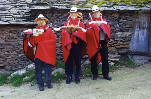 Vaquillones de Villares de Jadraque.