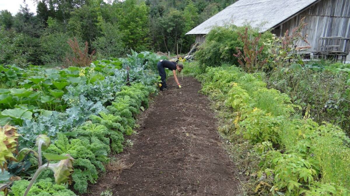 Normativa sobre los huertos y fincas durante el estado de alarma (03/04/2020)