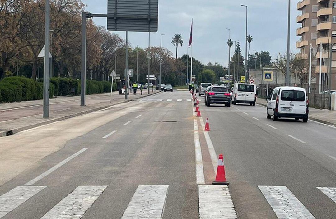 Avenida Blasco Ibáñez de Gandia 