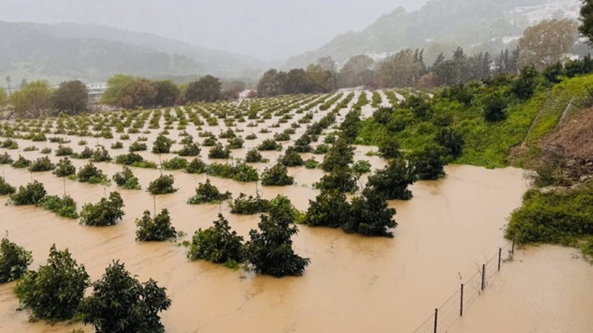 Fran Gómez alerta por el desbordamiento del Hozgarganta