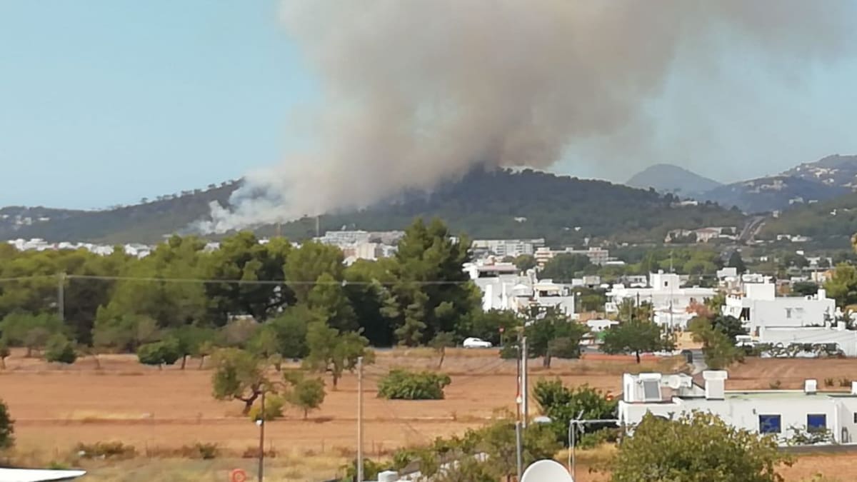 Estabilizado un incendio forestal en Sant Antoni