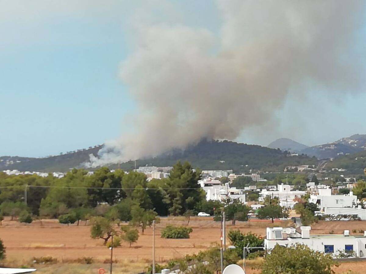 Estabilizado un incendio forestal en Sant Antoni
