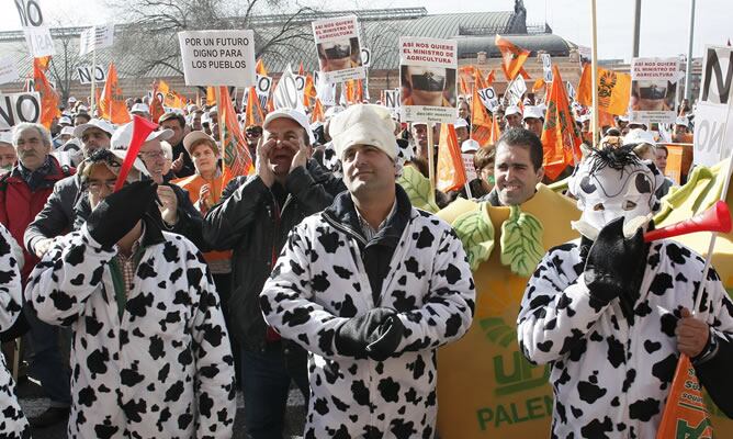 Una delegación de UPA-Andalucía, encabezada por su secretario general, Agustín Rodríguez, durante la manifestación hoy vestidos de vaca y hortalizas ante el Ministerio de Agricultura