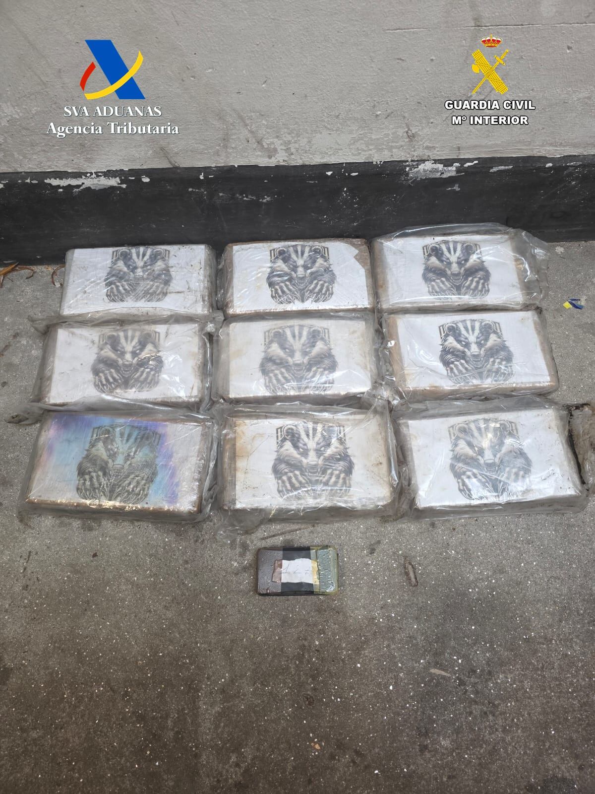 Parte de la droga incautada en el Puerto de Vigo