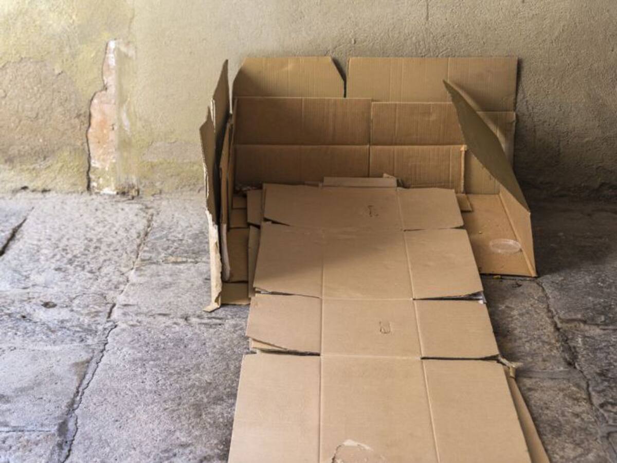 "Vivir en la calle es cruel"