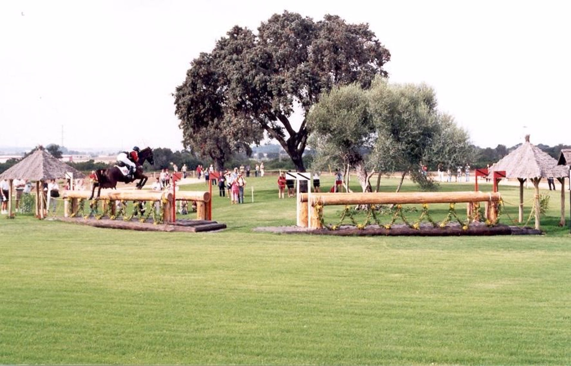 Imagen de la parcela El Galopadero, perteneciente al cortijo jerezano de Garrapilos