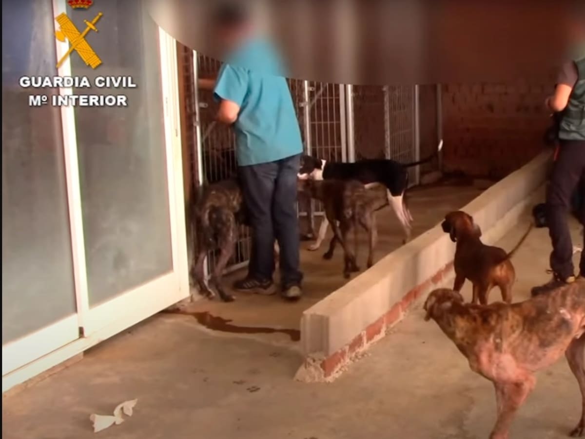 Piden tres años y medio de cárcel para el ‘Vampiro de Humanes’ y año y medio para sus colaboradores