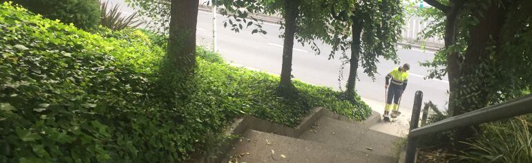 Operario del servicio de limpieza