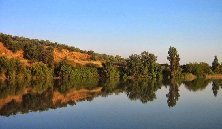 Río Guadalquivir a su paso por Andújar.