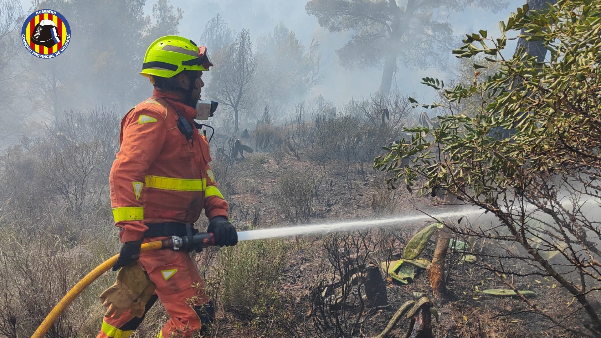 Archivo- Los bomberos trabajan en la extinción del incendio