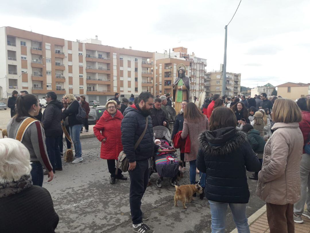 Momento de la bendición de animales ante San Antón en Monóvar 