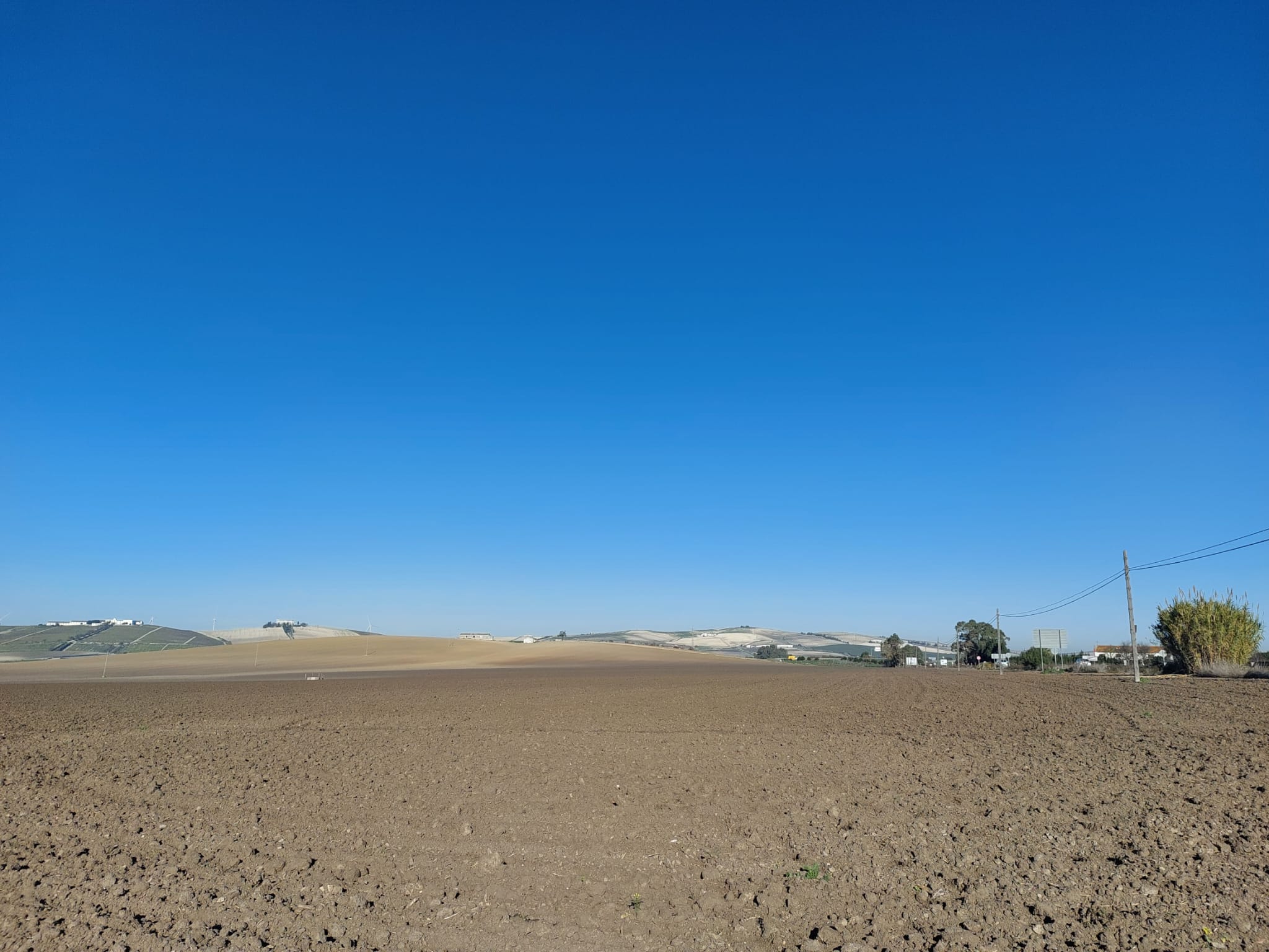 Explotación agrícola en el término municipal de Jerez