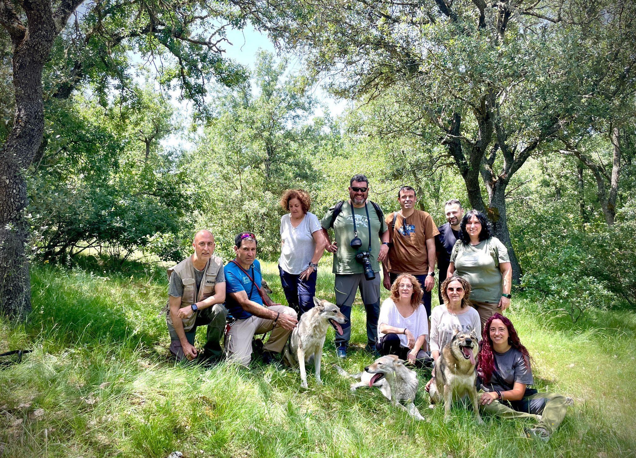 Taller práctico de fotografía con lobos