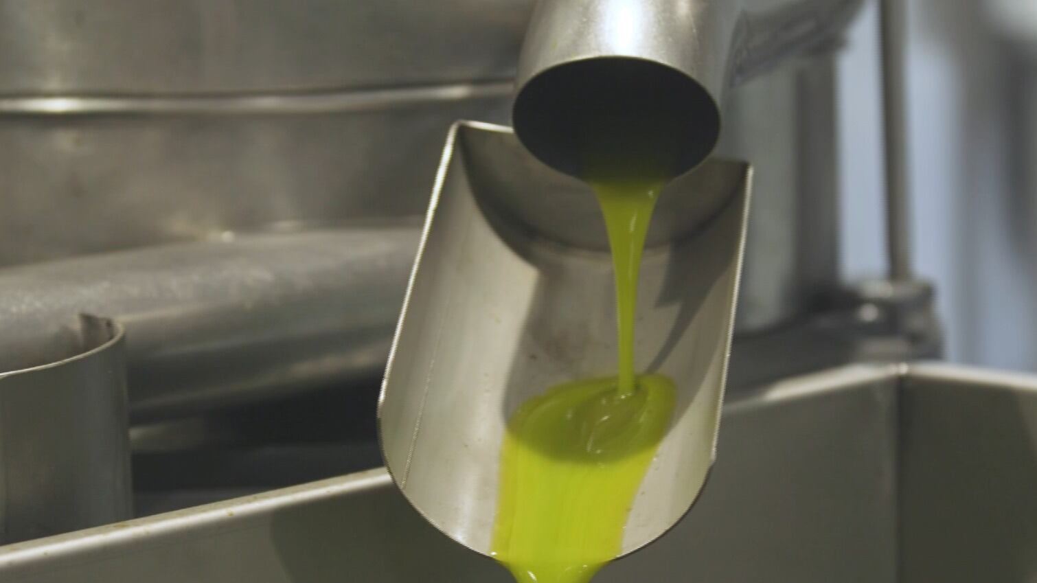 UPA Andalucía resalta el magnífico arranque de la campaña de comercialización de aceite de oliva, con 130.000 toneladas vendidas a precios razonables