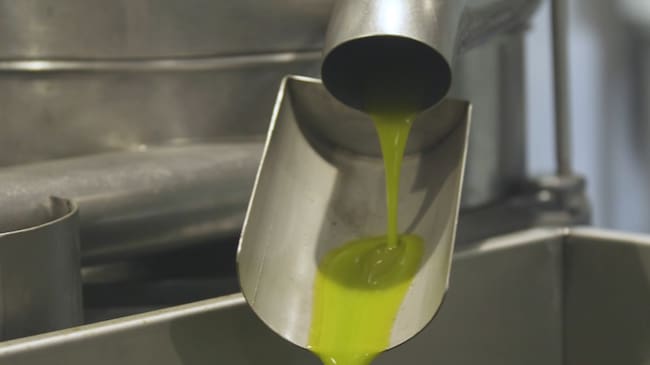 UPA Andalucía resalta el magnífico arranque de la campaña de comercialización de aceite de oliva, con 130.000 toneladas vendidas a precios razonables