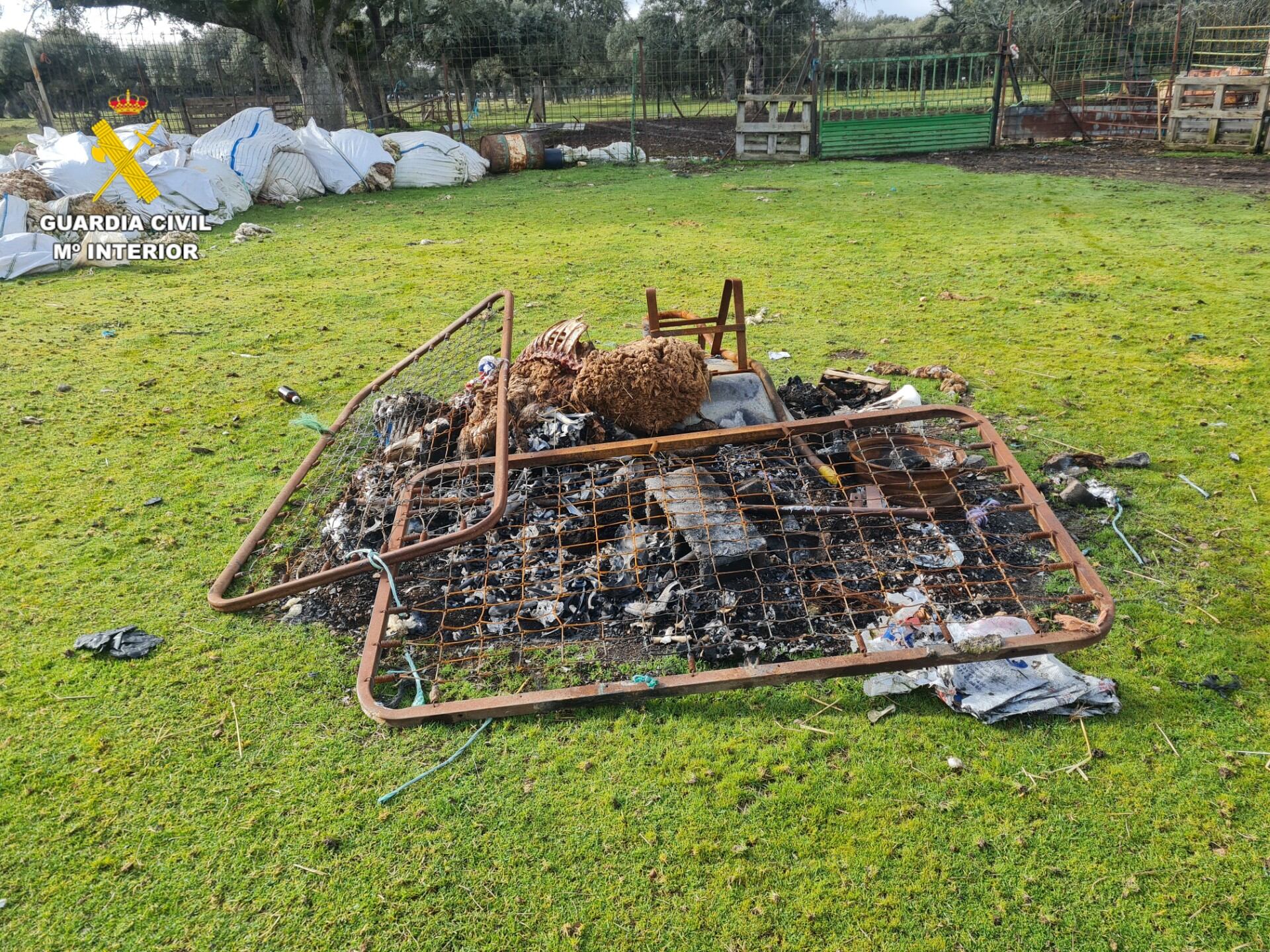Imagen de la finca facilitada por la guardia Civil de Salamanca