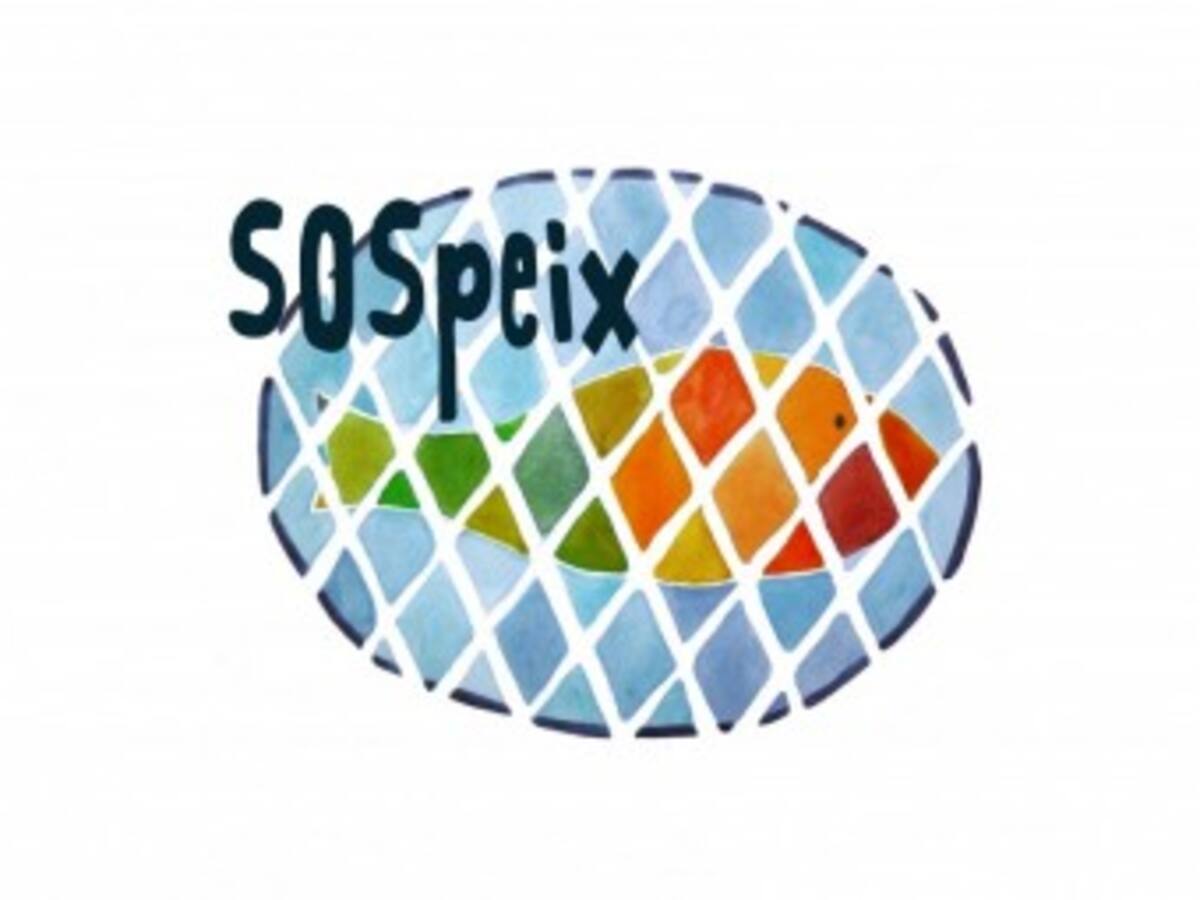 Una aplicació per mòbil fomentarà el consum responsable de peix