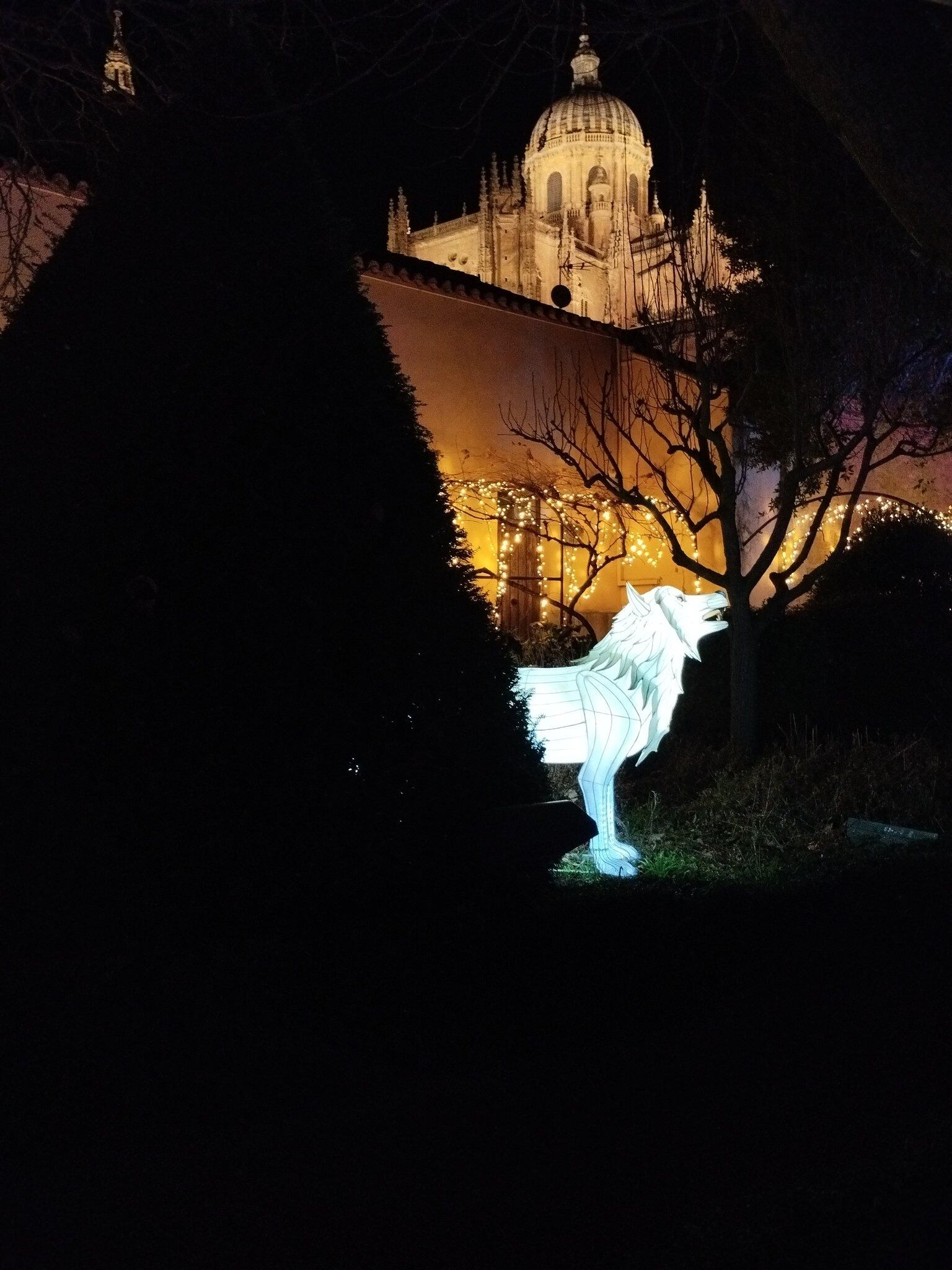 Navidad de 2024-2025 en el Huerto de Calixto y Melibea en Salamanca/Cadena SER