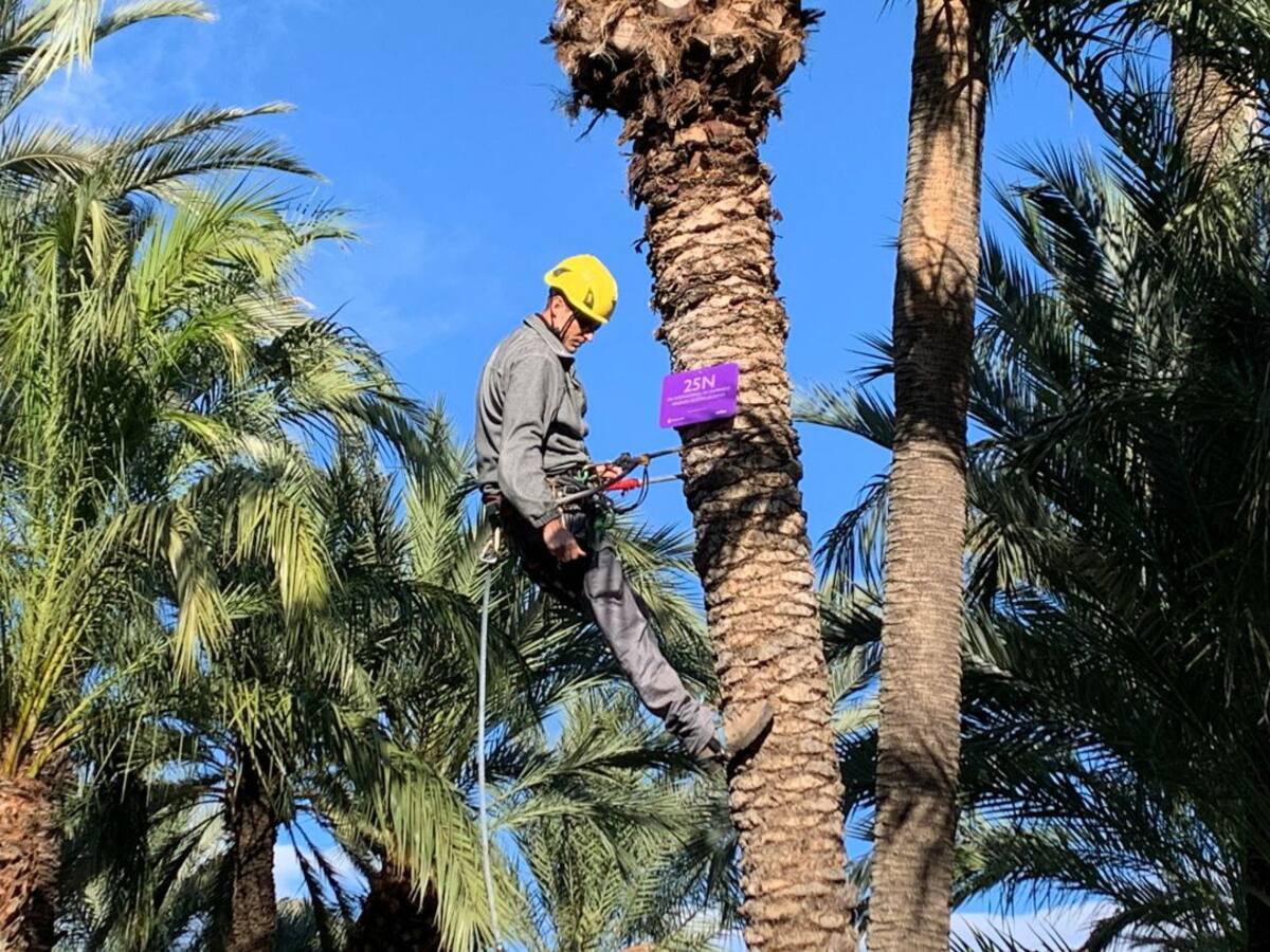 Una placa en homenaje a las víctimas de la violencia machista