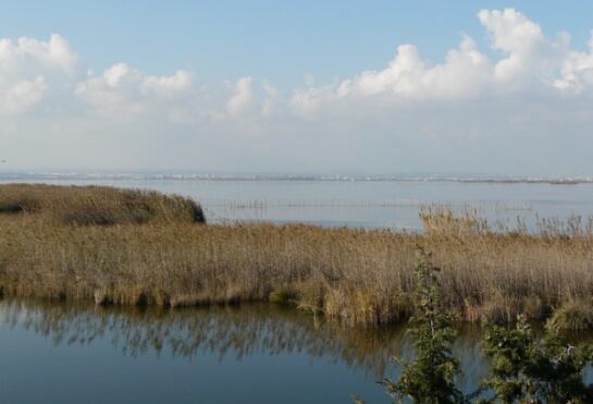 Parque natural de la Albufera