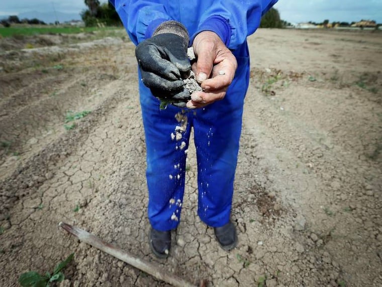 Consecuencias de la sequía en el campo