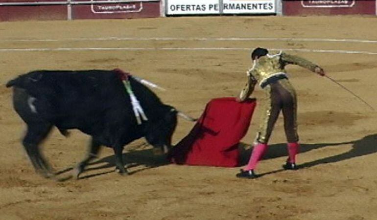 Ganar Fuenlabrada pide que los festejos taurinos en Fuenlabrada no se financien con dinero público.