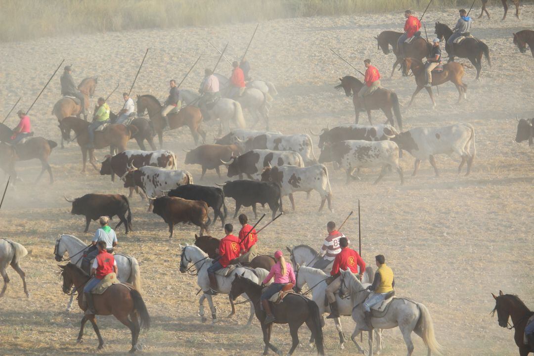 Astados de Lagunajanda que protagonizaron encierro del miércoles en 2018