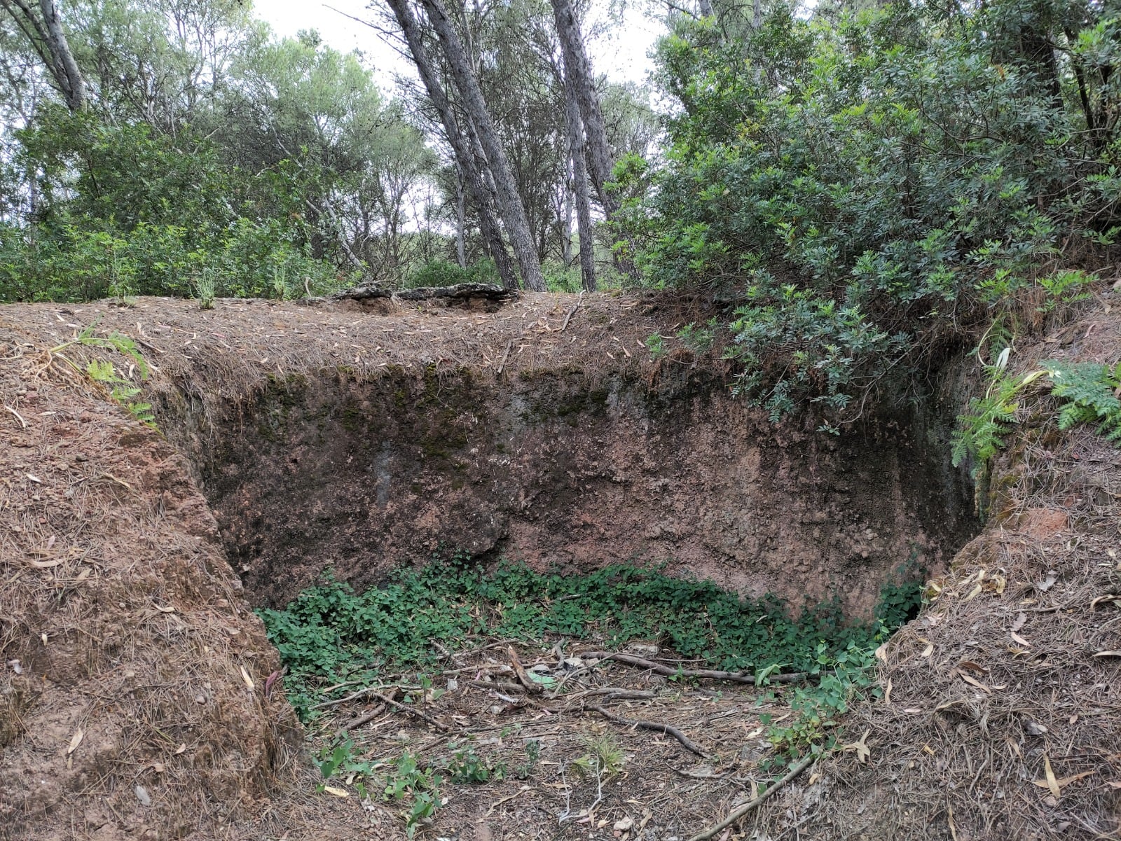 Recorrido por el parque de &quot;Las Aguilillas&quot;