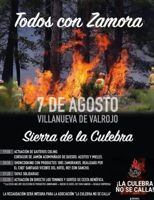 Cartel de la jornada solidaria en Villanueva de Valrojo
