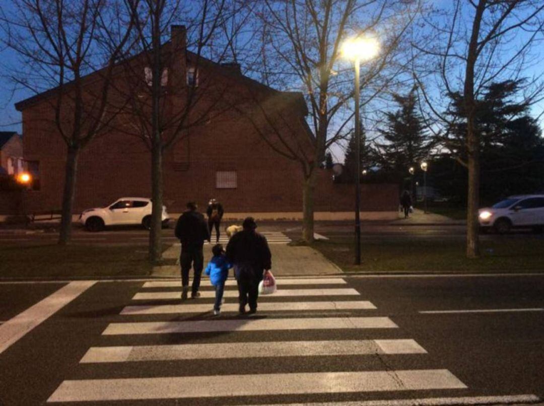 Los vecinos pedirán el miércoles al Alcalde mejorar la seguridad vial para evitar más atropellos en la Avenida de Ramón Carande