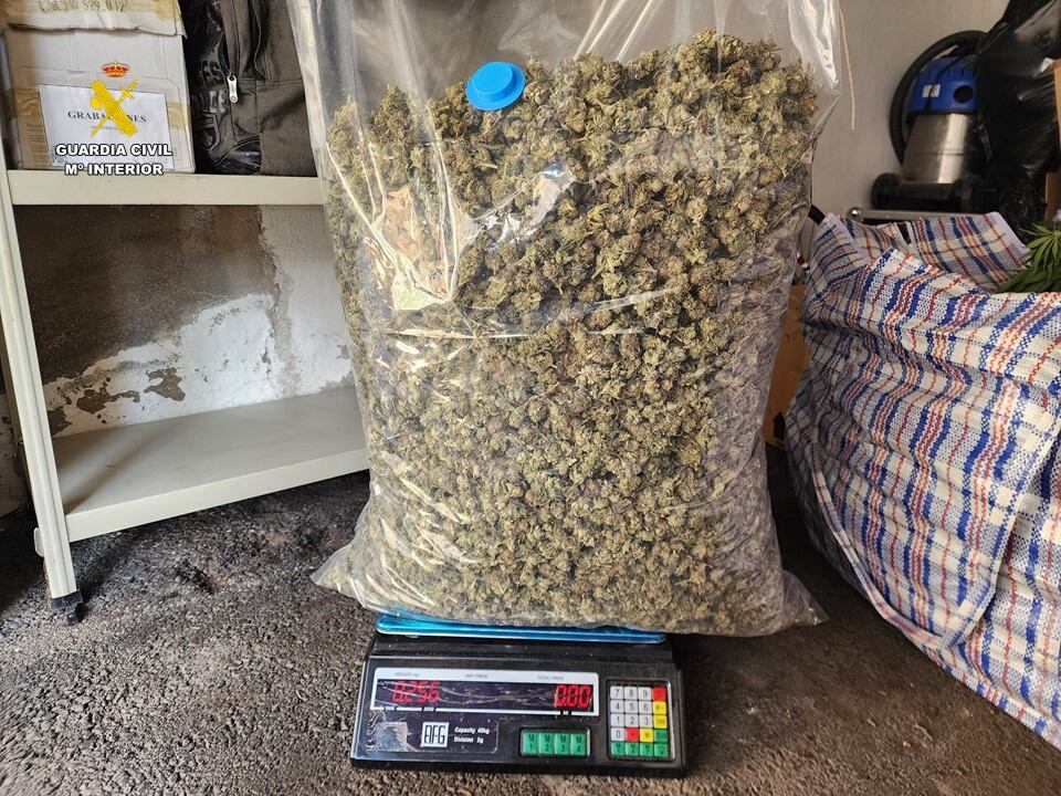 La investigación comenzó en junio, tras recibir informaciones anónimas