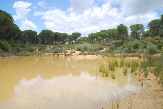 Barrero del Arrayán, una de las ubicaciones en las que Heineken España desarrollará su proyecto