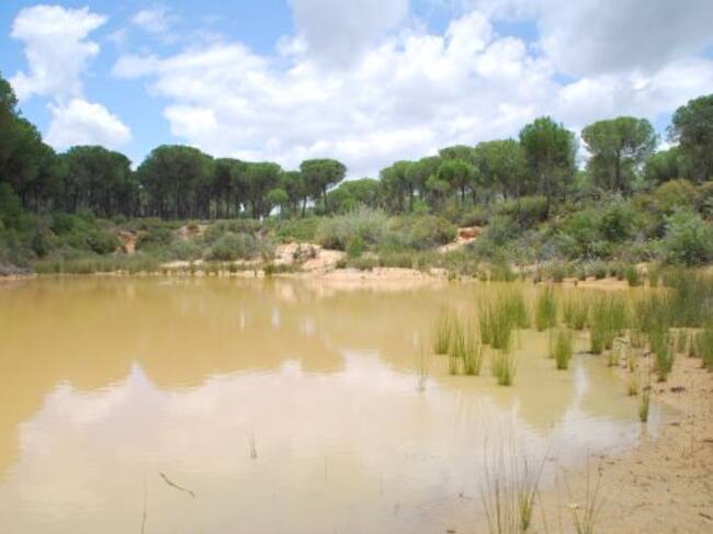 Barrero del Arrayán, una de las ubicaciones en las que Heineken España desarrollará su proyecto