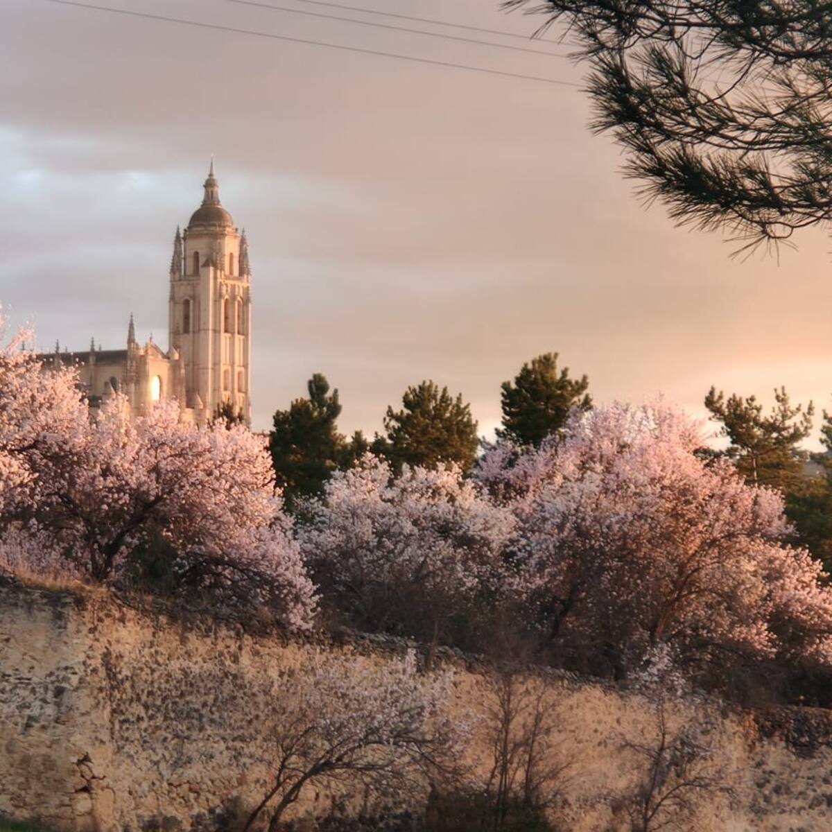Cristina Peña y Gonzalo Rodrigo, ganadores del concurso de fotografía ‘Tu Ciudad, tu Patrimonio’