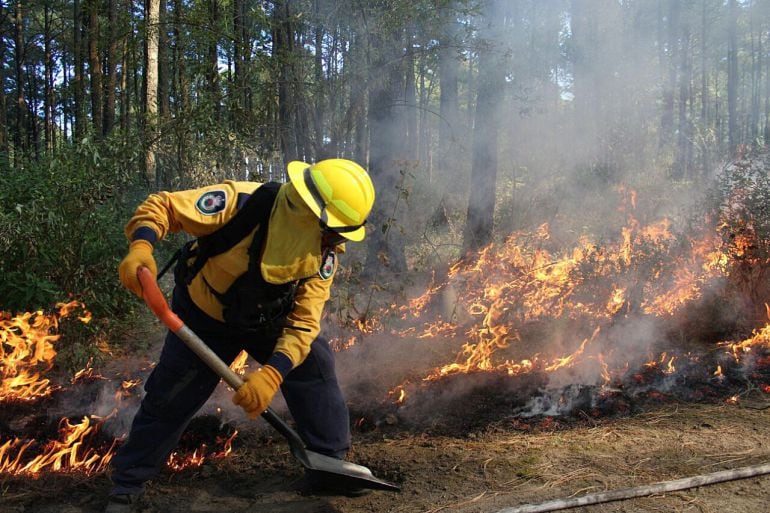 Un bombero forestal intenta apagar un incendio en el monte. 