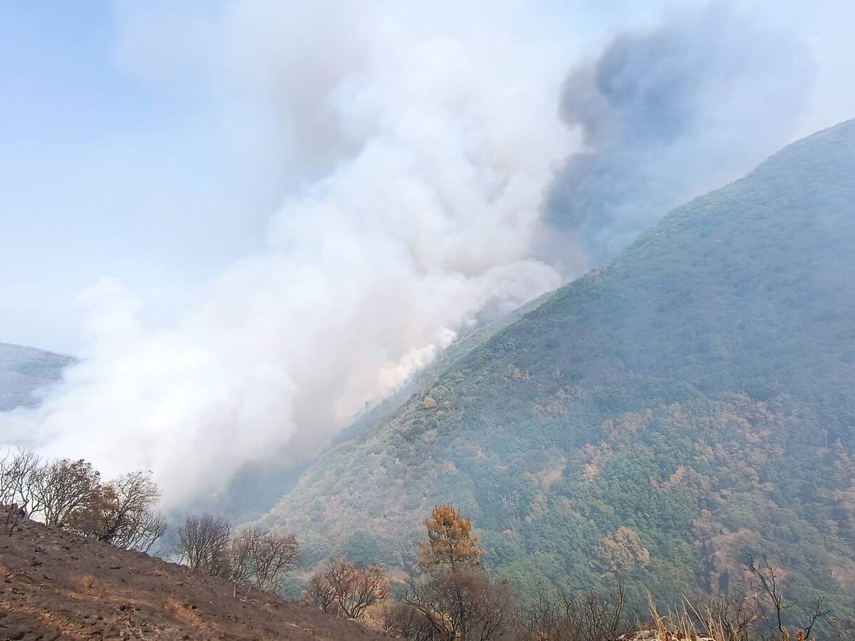 Aumentan a nivel 2 la gravedad del incendio de Villafranca del Bierzo por su cercanía a Villabuena