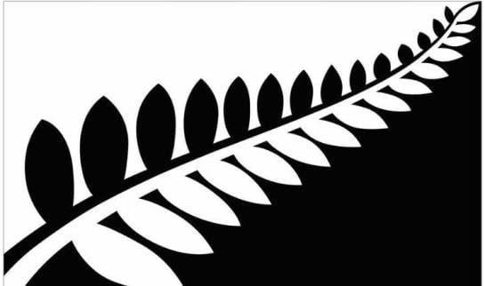 Silver Fern (Black & White).