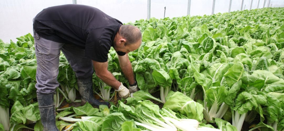 El Parque Agrario de Fuenlabrada ya tiene su aplicación para móviles. 