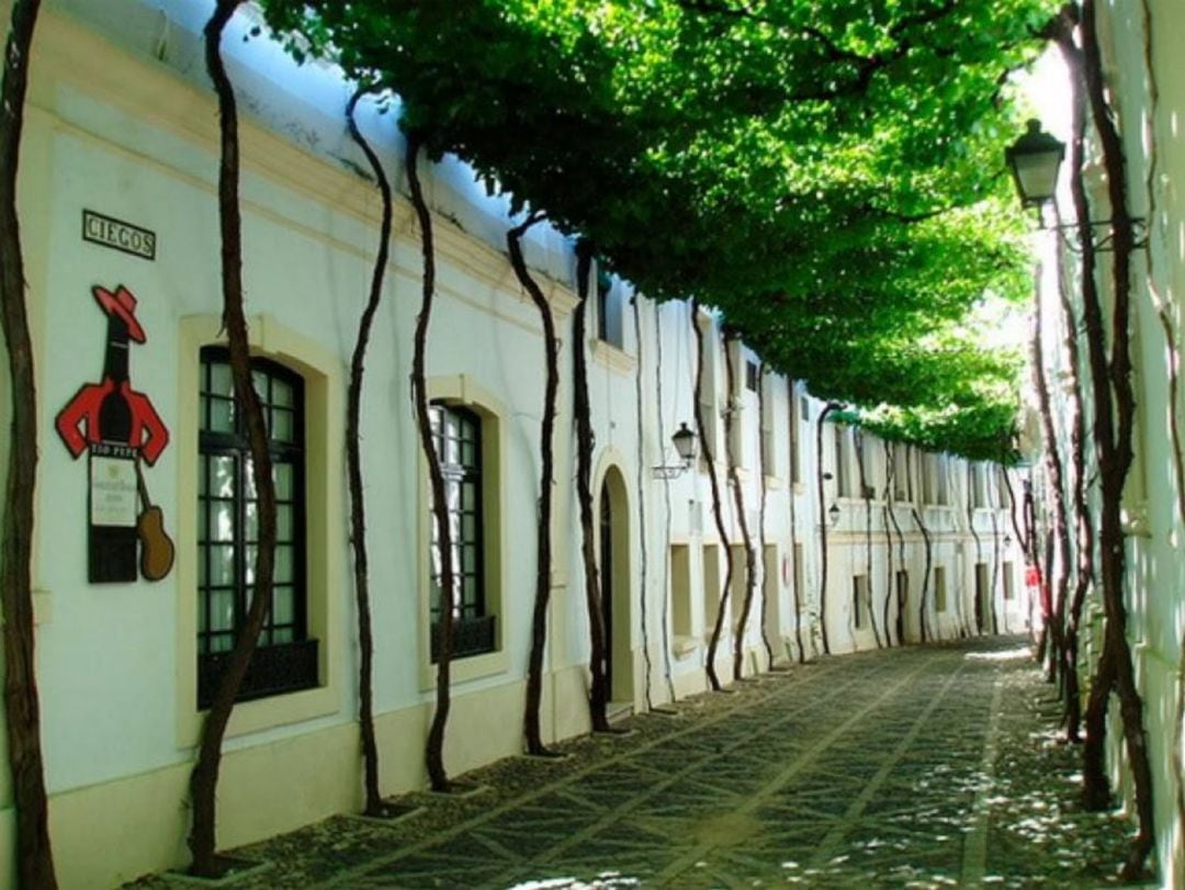 Calle Ciegos, cubierta por la parra, en González Byass