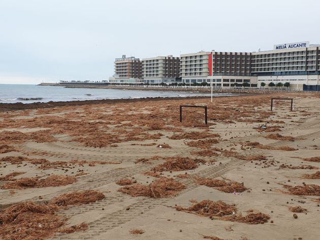 Imagend del Postiguet esta semana