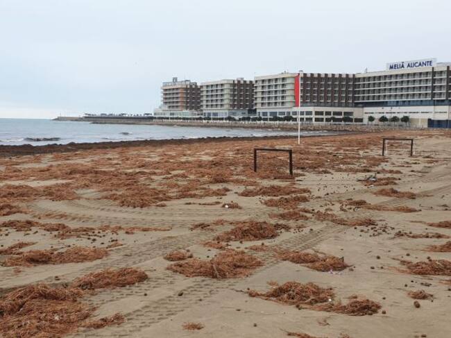 Imagend del Postiguet esta semana