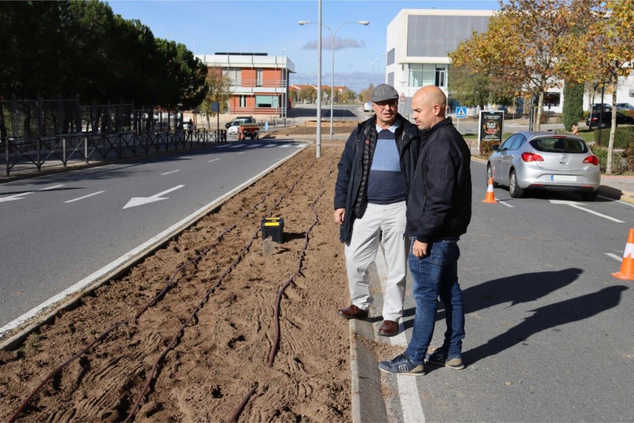 El Ayuntamiento renovará parterres arbustivos en el barrio de Nueva Segovia con más de 2.000 unidades