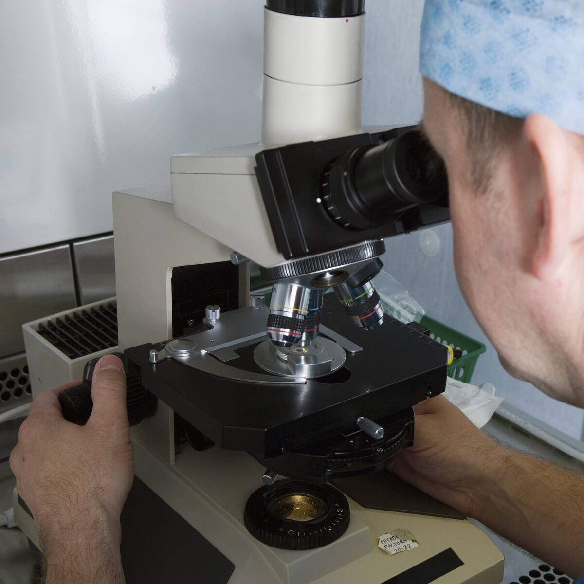 La calidad del esperma ha caído un 50% en 50 años: las tres causas principales