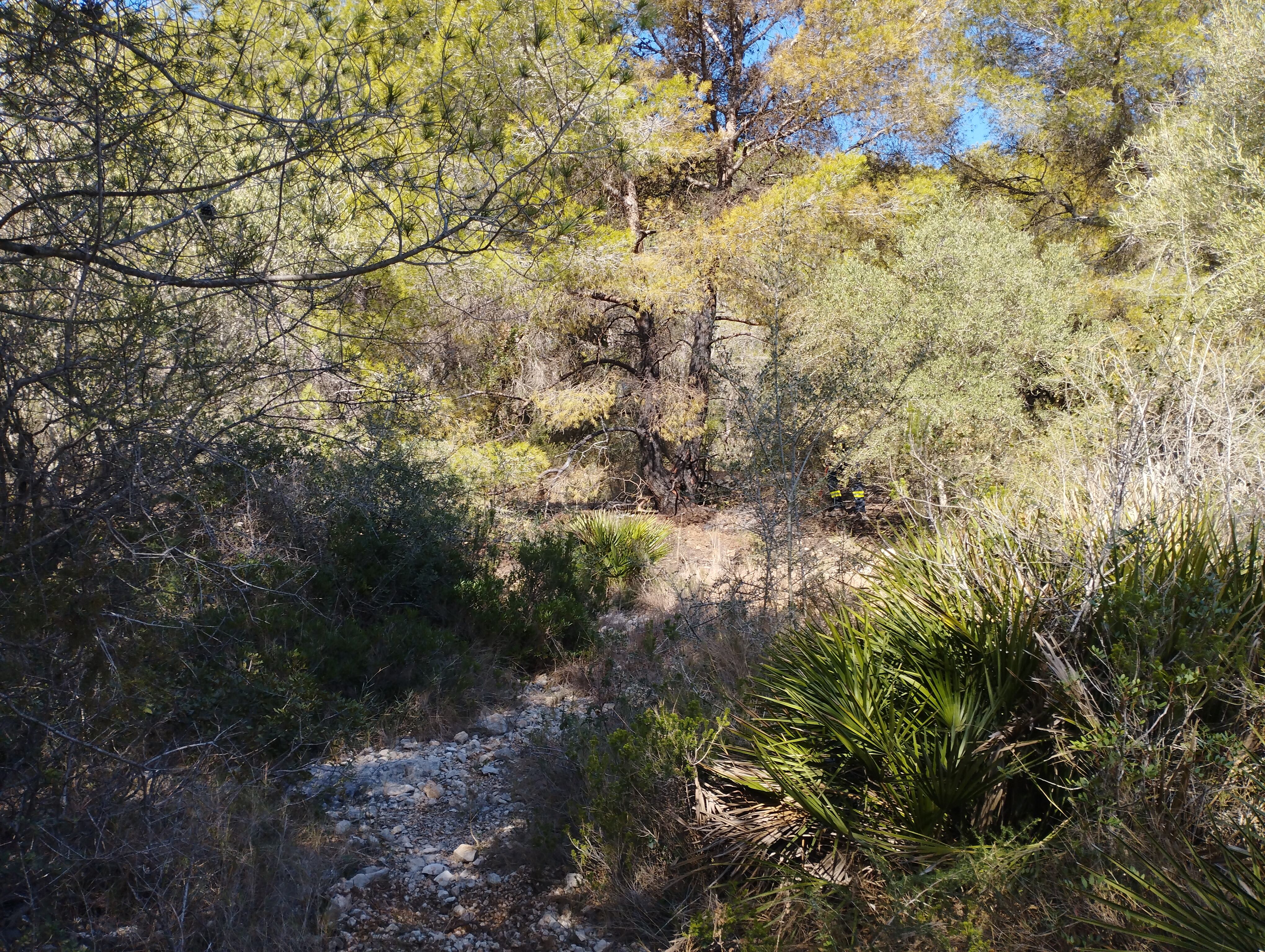 L&#039;incendi ha cremat vegetació propera a nuclis habitats