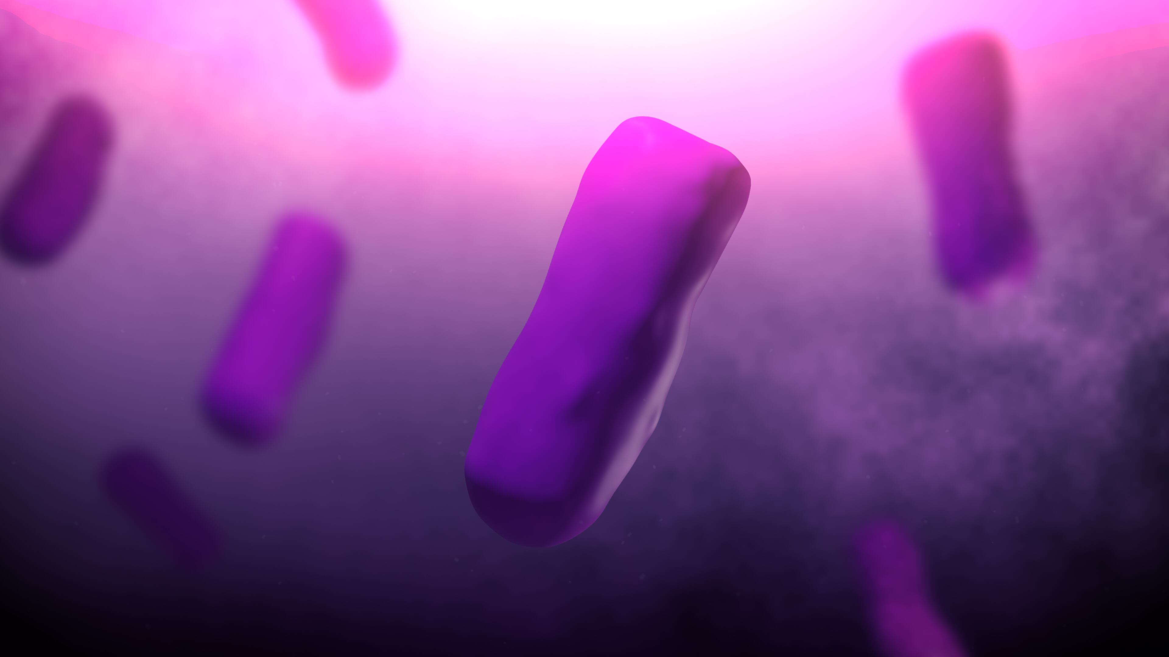 Ántrax, un peligro latente