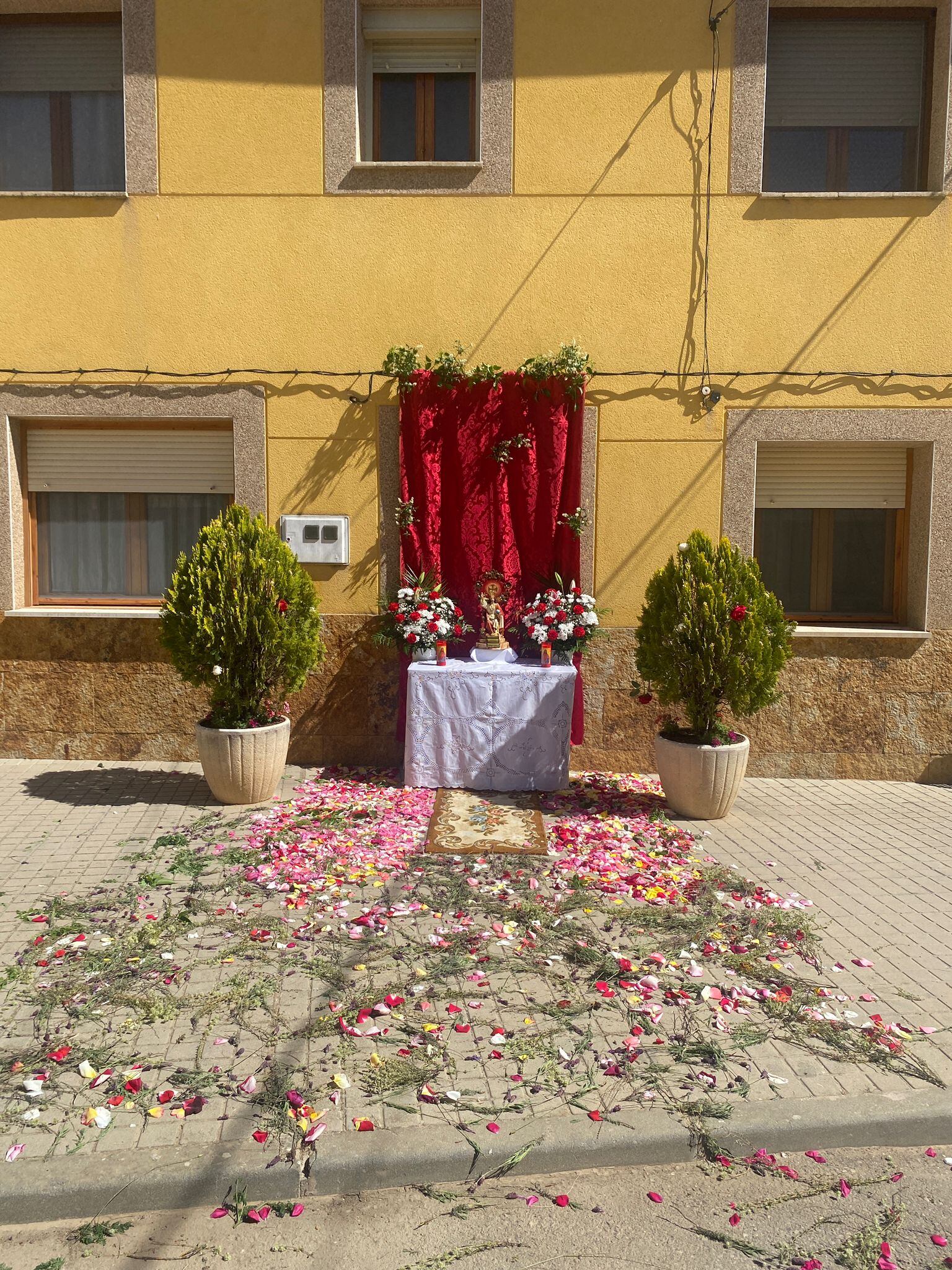 Alfombras, altares y arcos florales en la fiesta del Corpus de Berlangas de Roa