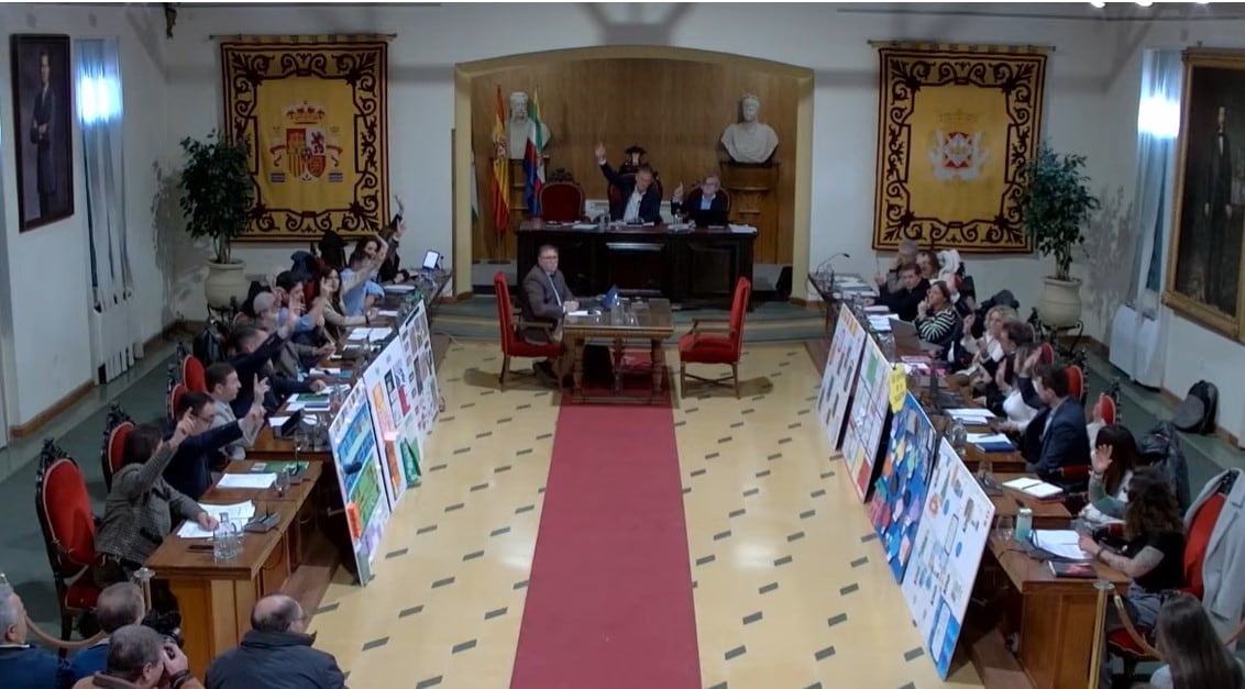 Pleno ordinario de noviembre de 2025.