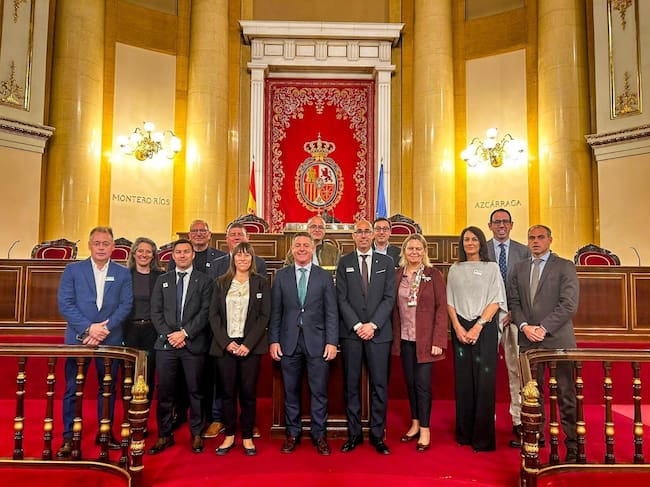 Comitiva isleña que se ha desplazado este miércoles al Senado